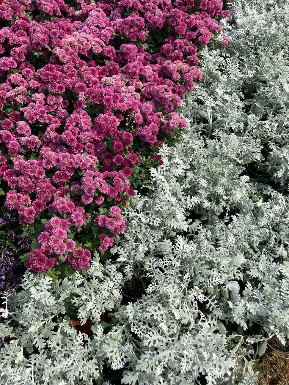 Winter seasonal centerpiece