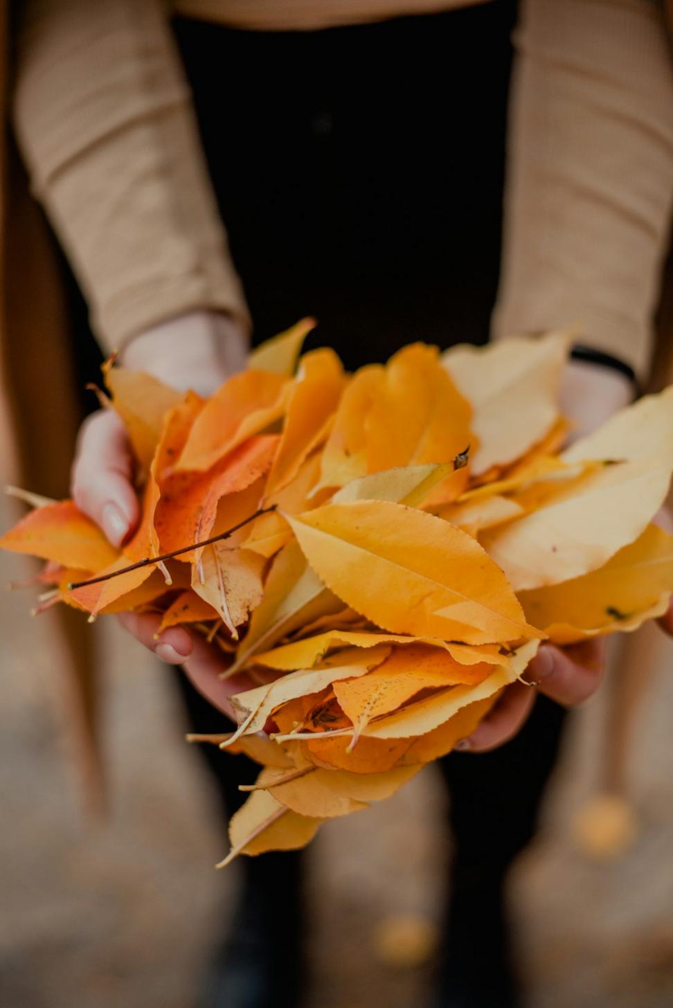 Wedding arch arrangement